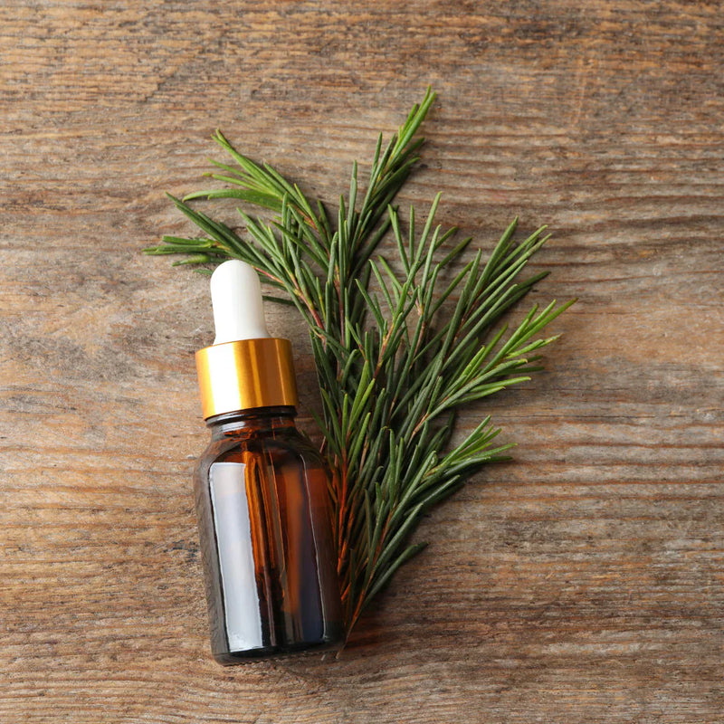 Natural Skincare with Essential Oils: How Tea Tree and Rosemary Can Transform Your Skin